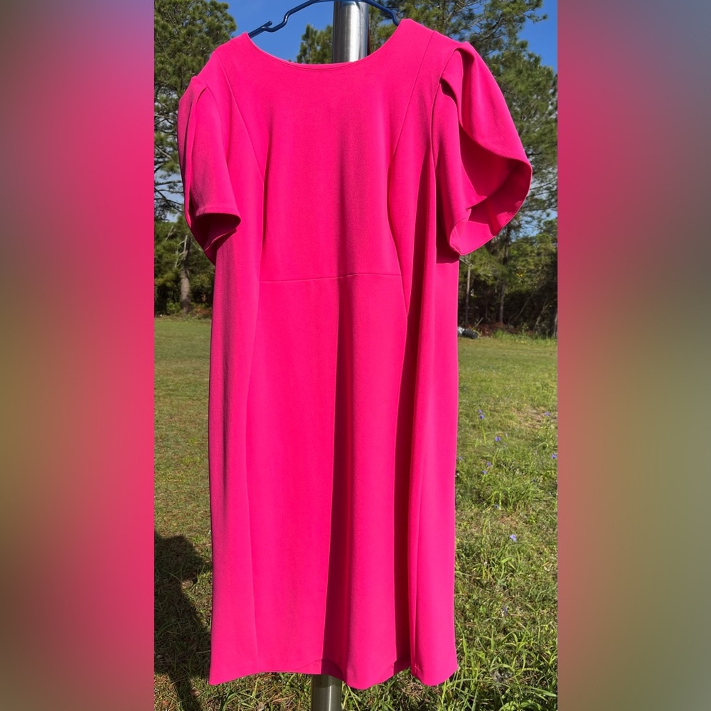 Elegant Pink Women's Dress
